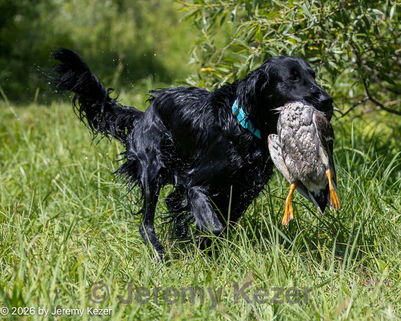 20260725-jhw-0055.jpg