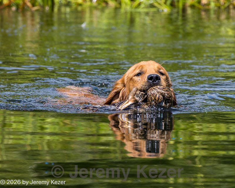 20260725-jhw-0165.jpg