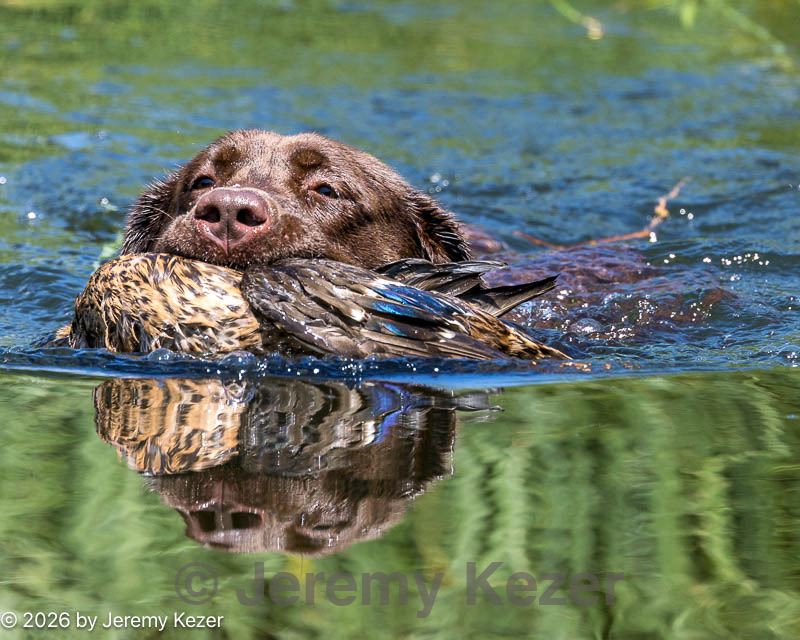 20260725-jhw-0194.jpg