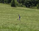 20260726-c-0005