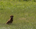 20260726-SHL-0243