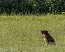 20260726-shl-0043