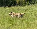 20260726-shl-0051