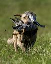 20260726-shl-0057