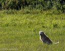 20260726-shl-0075