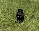 20260726-shl-0088
