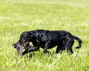 20260726-shl-0091