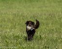 20260726-shl-0098