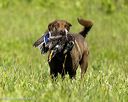 20260726-shl-0114