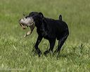 20260726-shl-0151