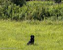 20260726-shl-0175