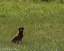 20260726-shl-0243
