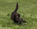 20260726-shl-0314