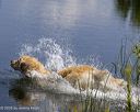 20260726-shw-0022