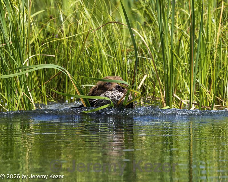 20260726-shw-0135.jpg