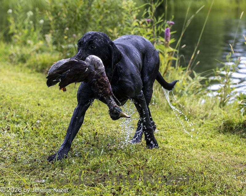 20260726-shw-0185.jpg