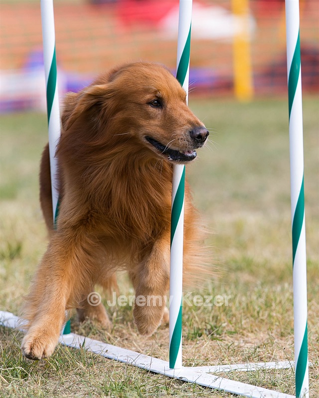 20150614-CCKC-0084.jpg