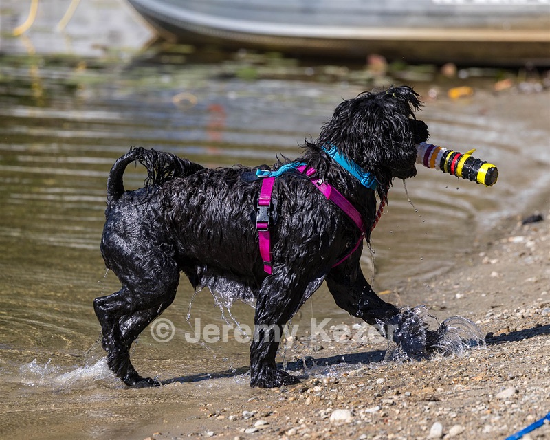 Penny Toby-Ann