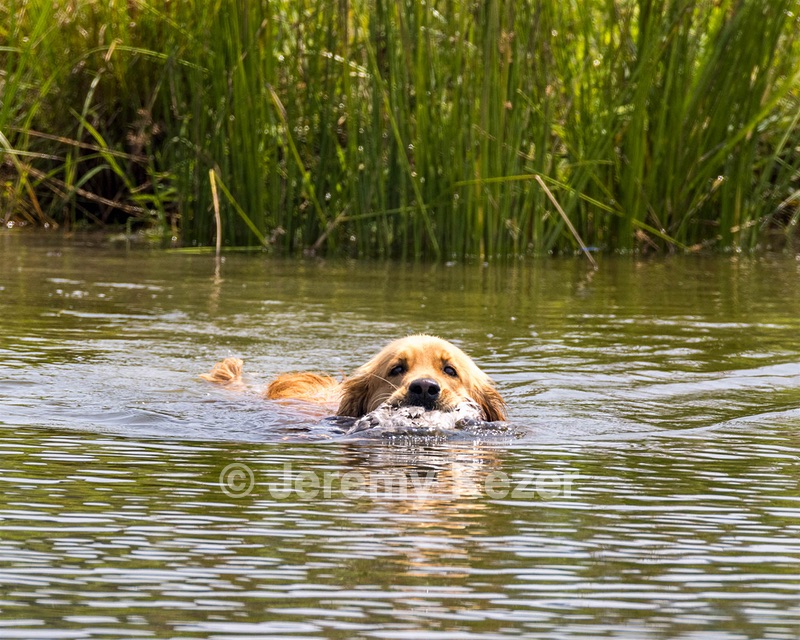 Gracie Woishek