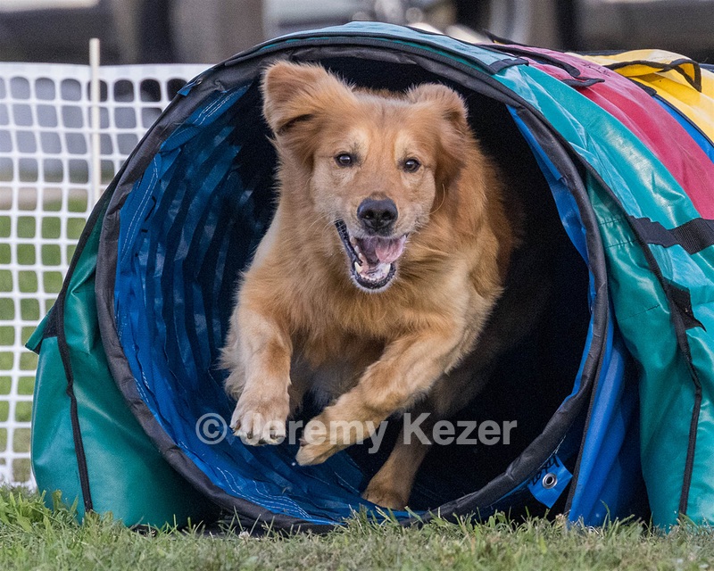 20230916-PVKC-1769.jpg