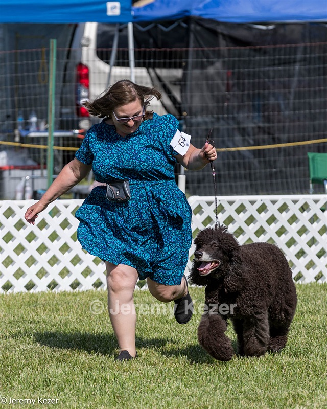 64 - CH Navarone's Absolutely Fabulous RN CGC (Edwina)