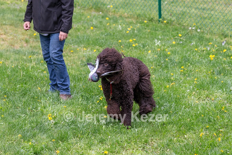 20190512-BD-0181.jpg