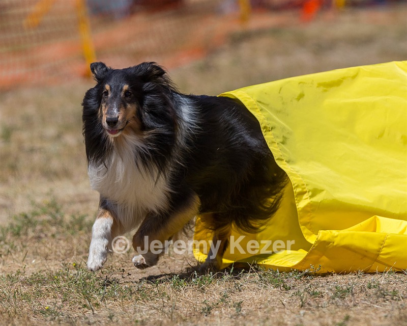 20160619-CCKC-1221.jpg