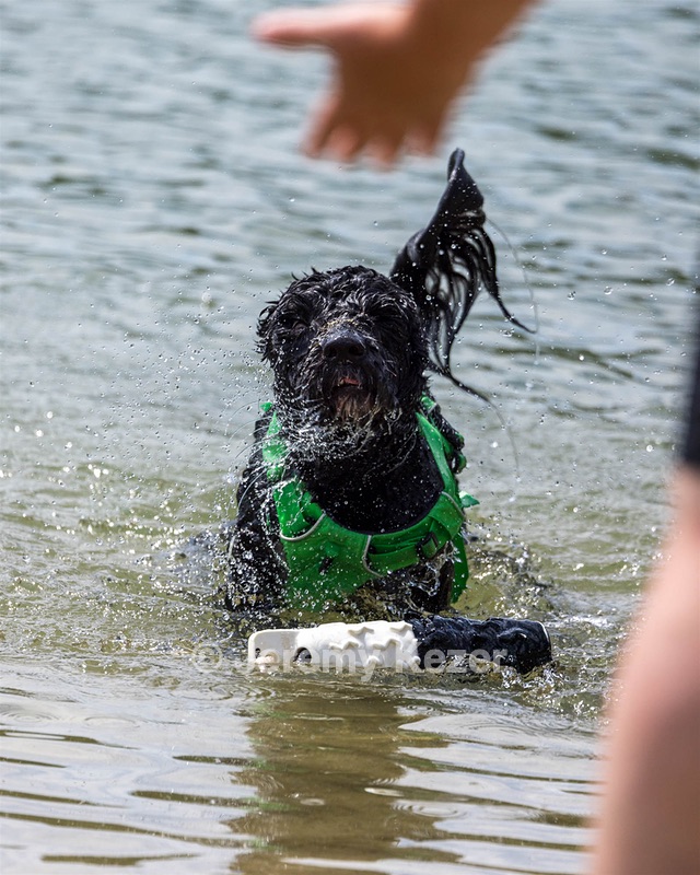 Ebony Fernandino