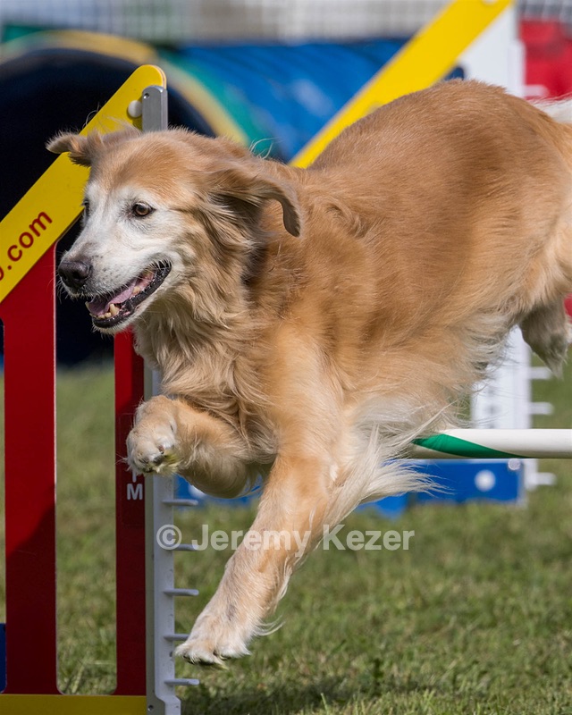 20230916-PVKC-1196.jpg