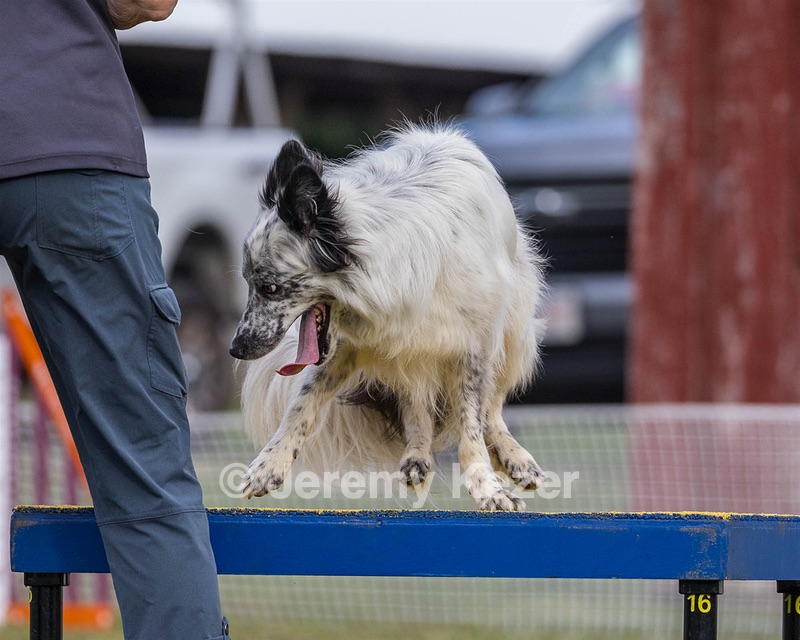 20230917-PVKC-2813.jpg