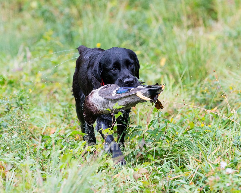 Sadie Martin