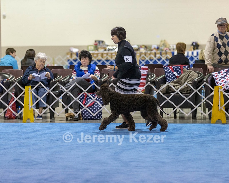 30 - GCH CH Chantico's Spirit In The Surf JH CD RA OA OAJ  NF (Selchie)
