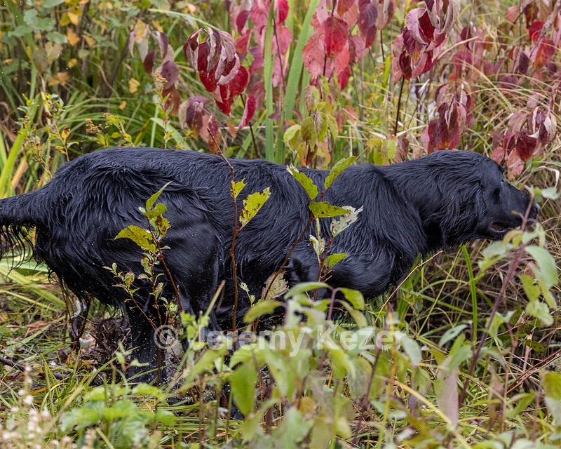 Rune CALLNAME HANDLER