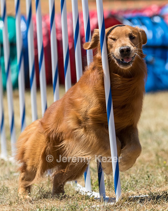 20160618-CCKC-1493.jpg