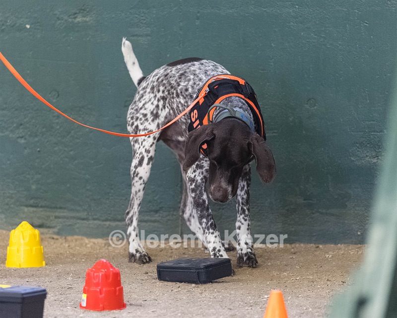 20260718-NSKC-0657.jpg