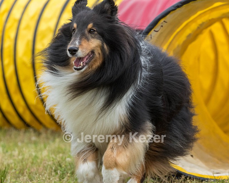 Captain Gibson