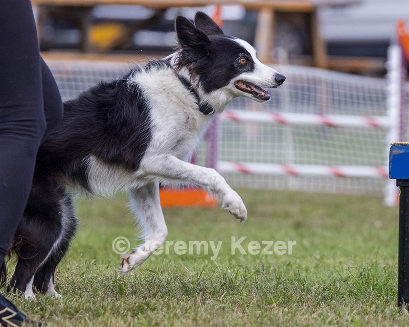 20230917-PVKC-2748.jpg