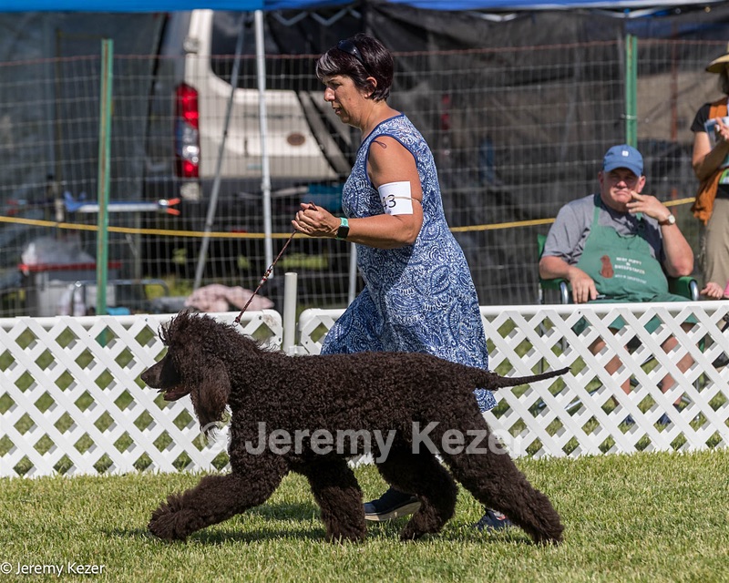 43 - GCH CH Chantico's Shelter From The Storm CD RA MX AXJ MXP2 MJP2 MJPB XF DS (Reef)