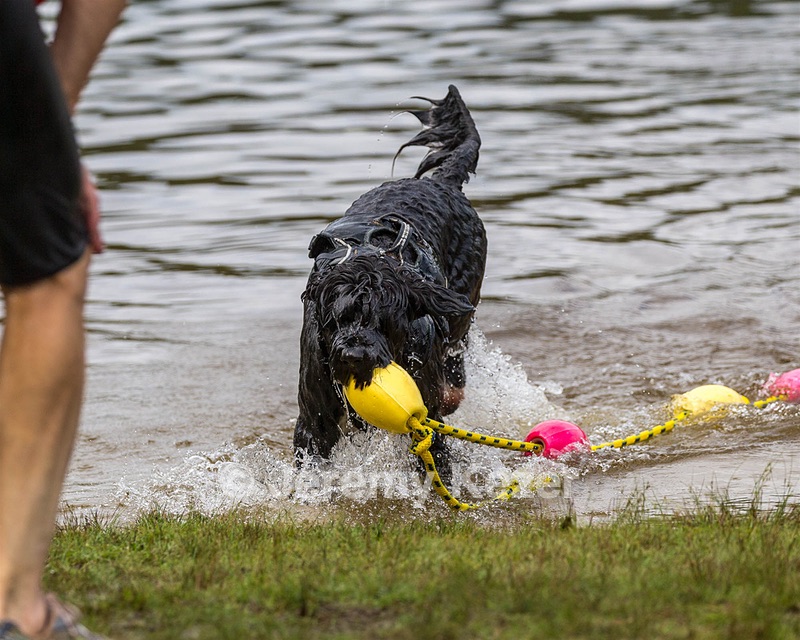 "Blaze" & Tim