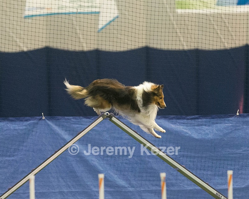 20150321-LEAP-1396.jpg