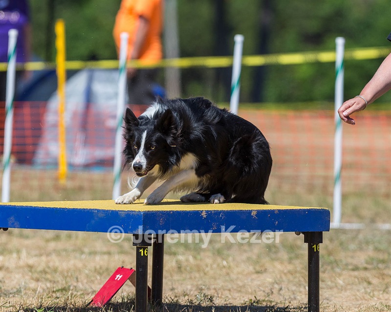 20160619-CCKC-1456.jpg