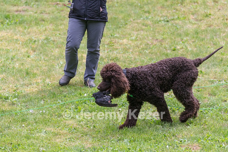 20190512-BD-0140.jpg