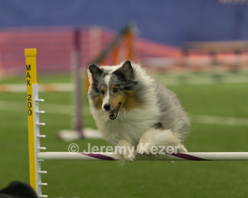 20150321-LEAP-1330.jpg