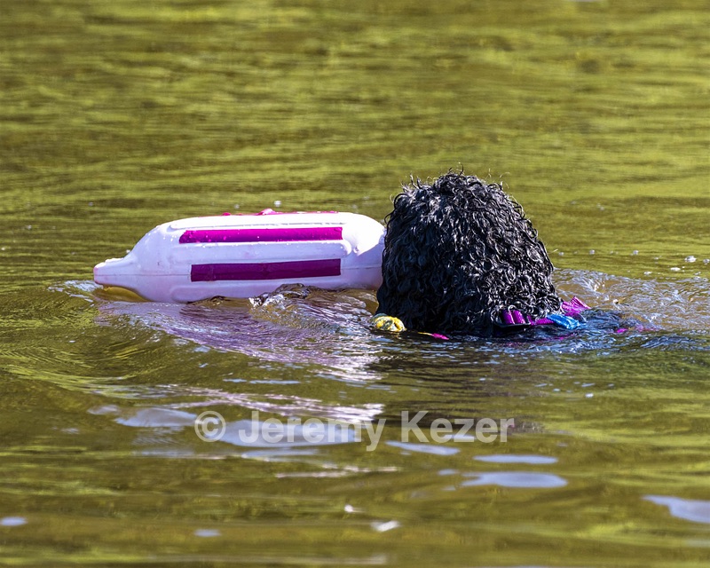 Perry