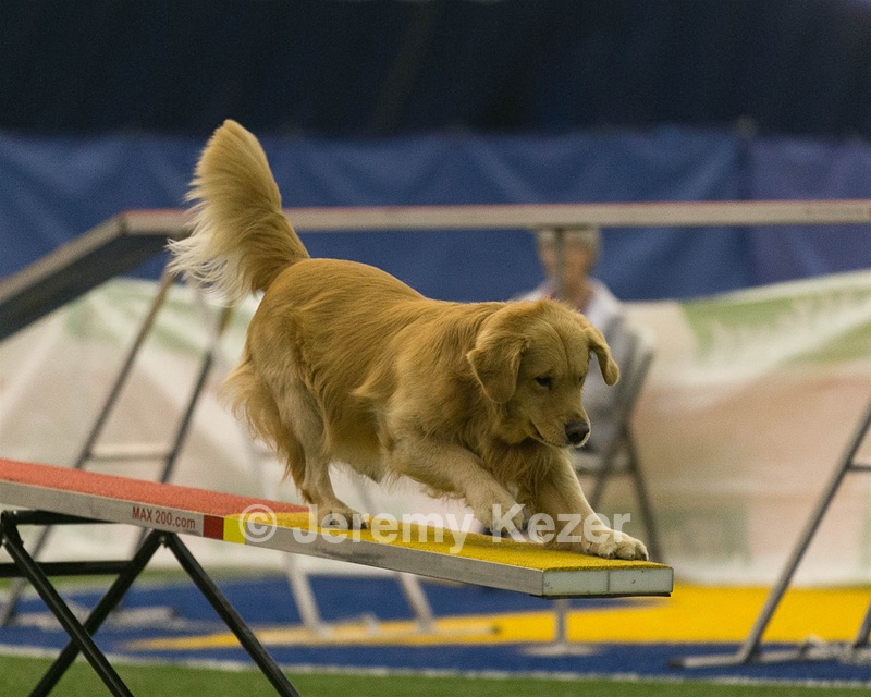 20150321-LEAP-0520.jpg