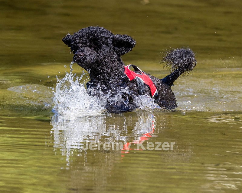 Breeze Holden