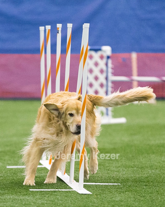 Jeep Damon