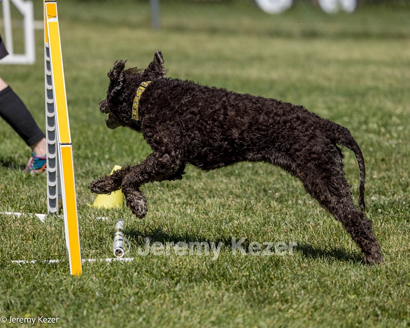 Glider