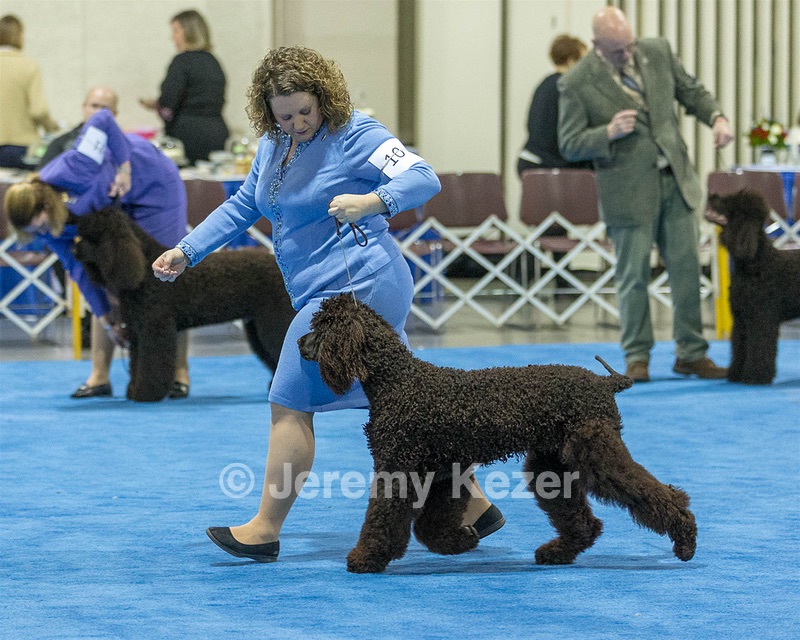 10 - Poole's Ide Touch Of Mink (Darla)
