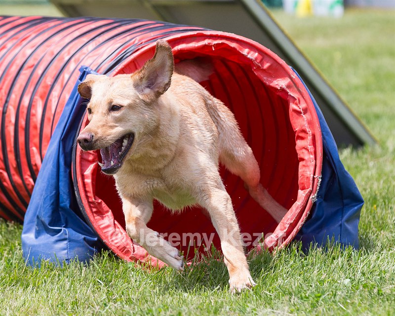 Sandi Bixler